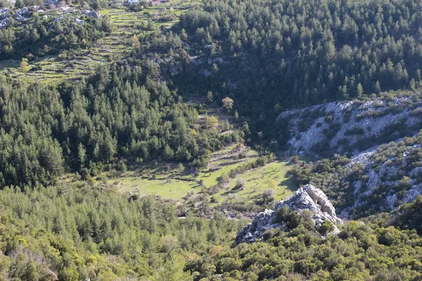 Yeşil ormanlar ve dağlarla çevrili huzurlu bir alan