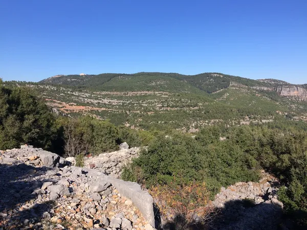 Geniş dağlık bir manzarada yemyeşil ağaçlar ve kayalık alanlar yer alıyor.