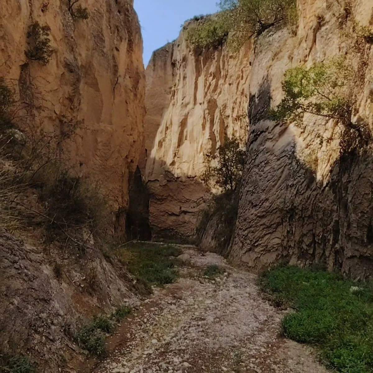 Dik yamaçlarla çevrili, doğal oluşumlarla bezeli dar bir kanyon manzarası.