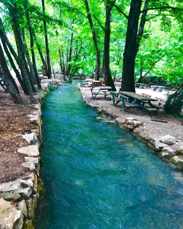 Berrak su ve ağaçlarla çevrili oturma alanı olan huzurlu doğal manzara