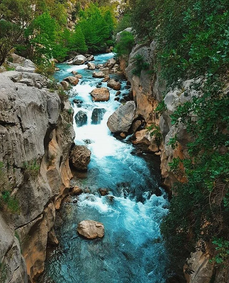 Büyüleyici Doğa: Berrak Mavi Su ve Yemyeşil Ağaçlar Berrak mavi suyun aktığı doğal bir kanyon, yemyeşil ağaçlar etrafında huzur veriyor.