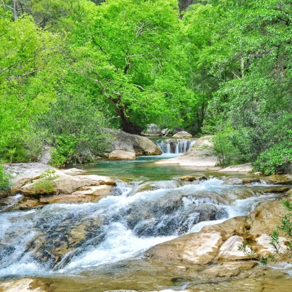 Yoğun yeşilliklerin arasında akan dere ve küçük şelaleler
