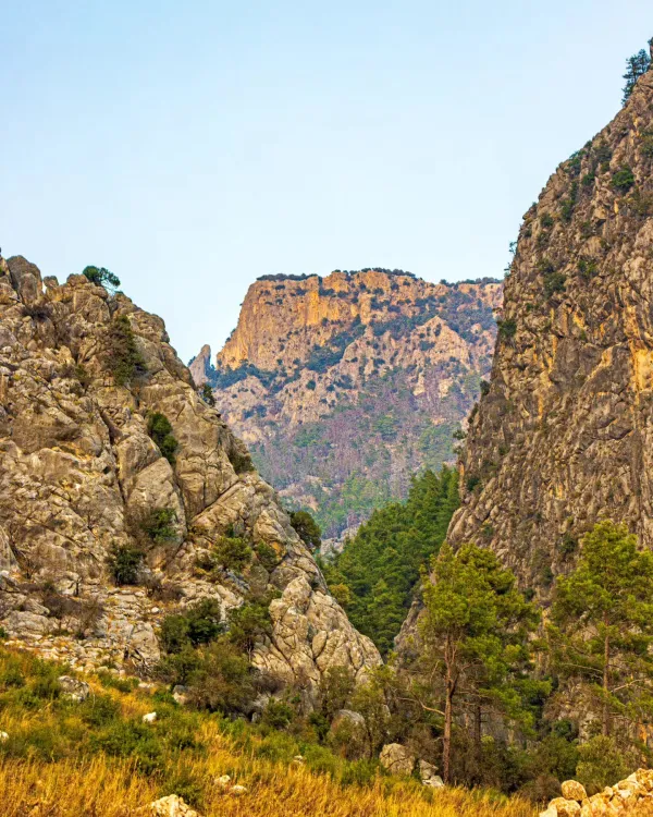 Yüksek kayalıkların arasında küçük çam ağaçlarıyla dolu dar bir vadi görüntüsü