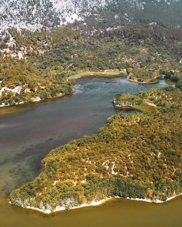 Yeşil ağaçlarla çevrili gölet, arka planda yüksek dağlar ve hafif dalgalar