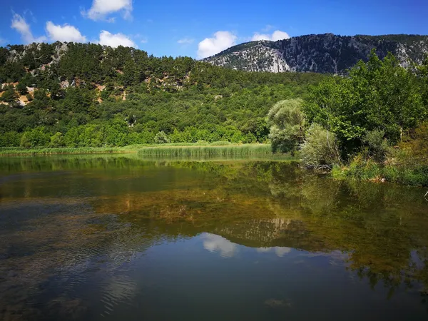 Sakin bir göl manzarası, yeşil orman ve kayalık dağlar.
