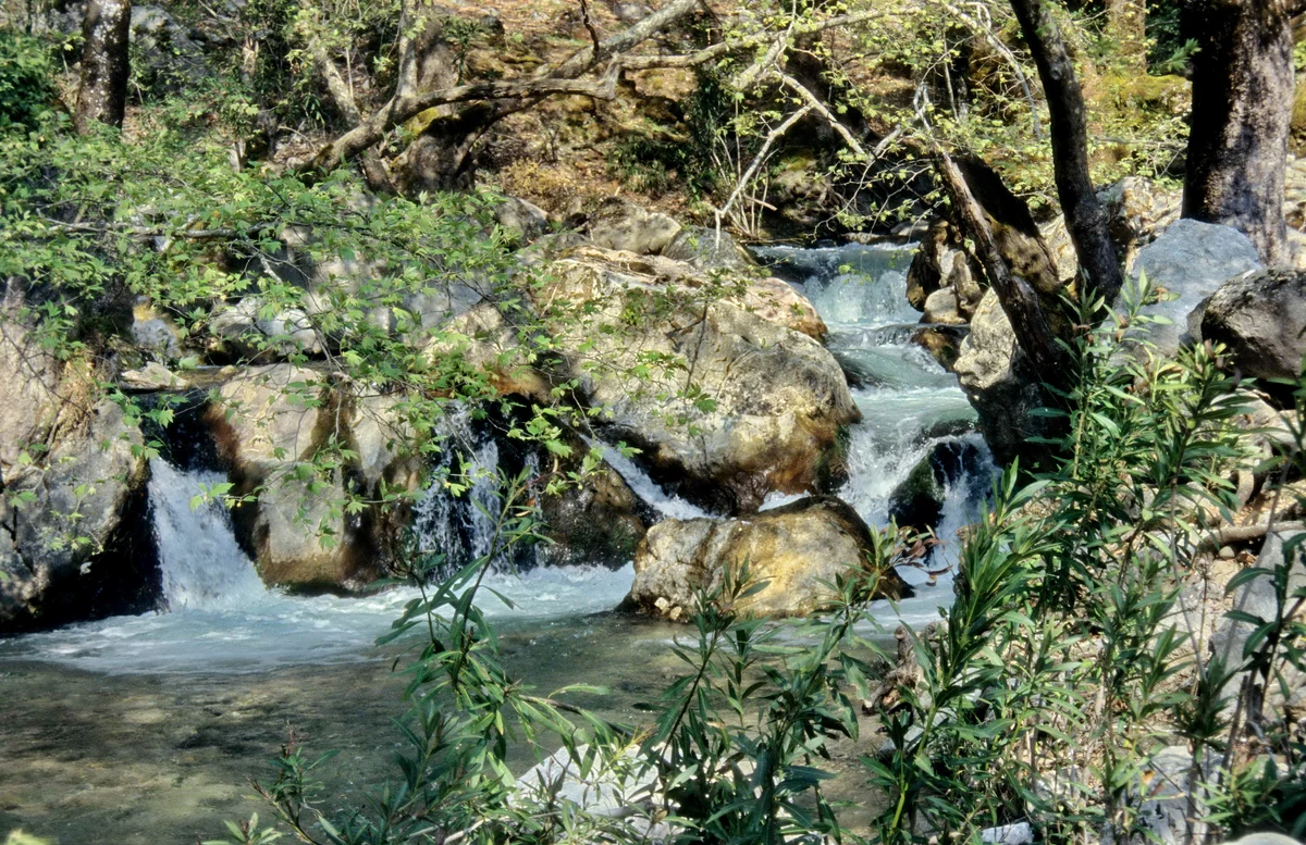 Isparta Kovada Gölü Milli Parkı