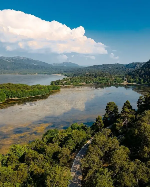 Yemyeşil ağaçlarla çevrili, bulutların yansıdığı sakin göl manzarası