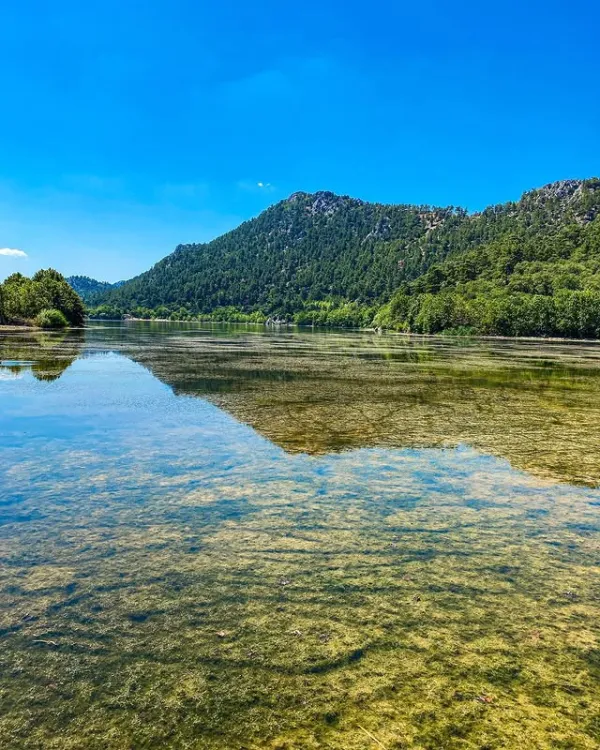 Güneşli günde, yeşil ağaçlar ve dağlarla çevrili sakin göl manzarası