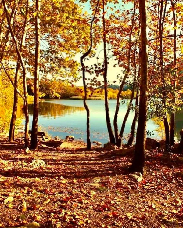 Sonbahar mevsiminde Kovada Gölü çevresindeki ağaçların yansıması ve sakin suyu.