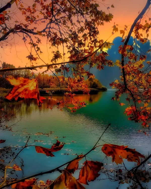Sonbahar renkleriyle kaplı göl manzarası, sakin su ve ağaç yansımalarıyla huzur veriyor.