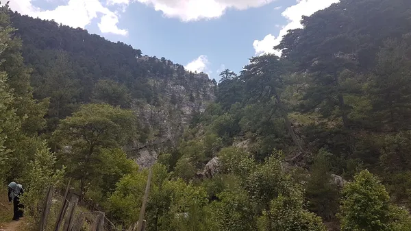 Yemyeşil ağaçlarla kaplı dağ yamaçları ve yürüyüş yapan bir kişi.