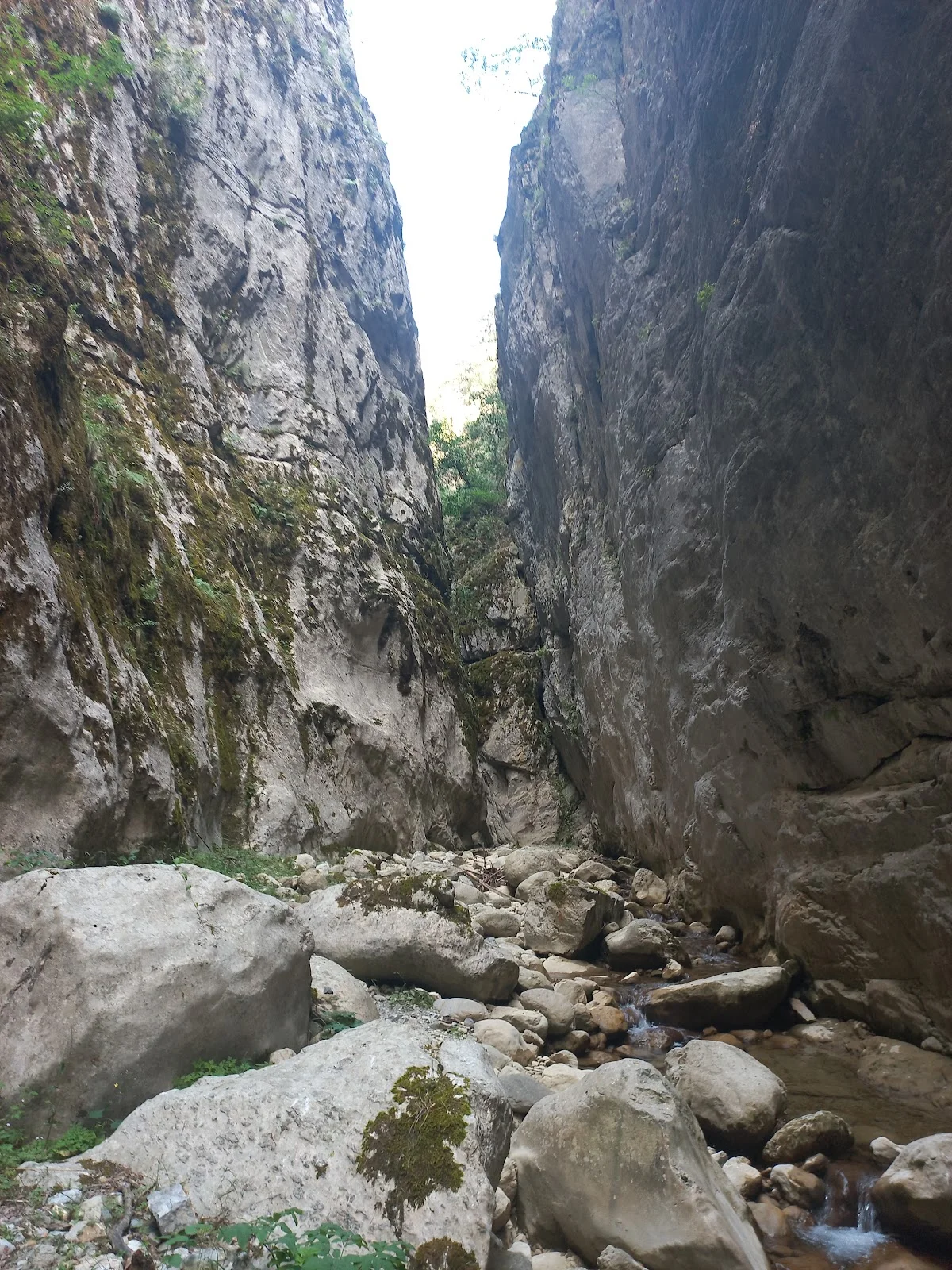 Doğal Güzellikler - Yüksek Kayalıklar ve Yeşil Bitkilerle Dolup Taşan Kanyon! Yüksek kayalıklar arasında akarsu ve yeşil bitkilerle dolu dar kanyon manzarası.