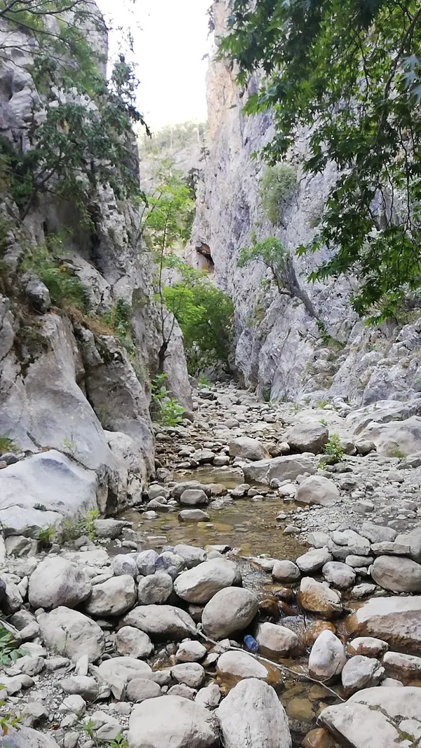 Yüksek kayalıklar arasında akan ince bir dere ve yeşil bitki örtüsüyle çevrili kanyon manzarası.