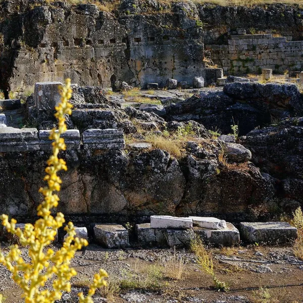 Antik kalıntılar, taş bloklar, sütunlar ve sarı çiçeklerle kaplı doğal bir alan.