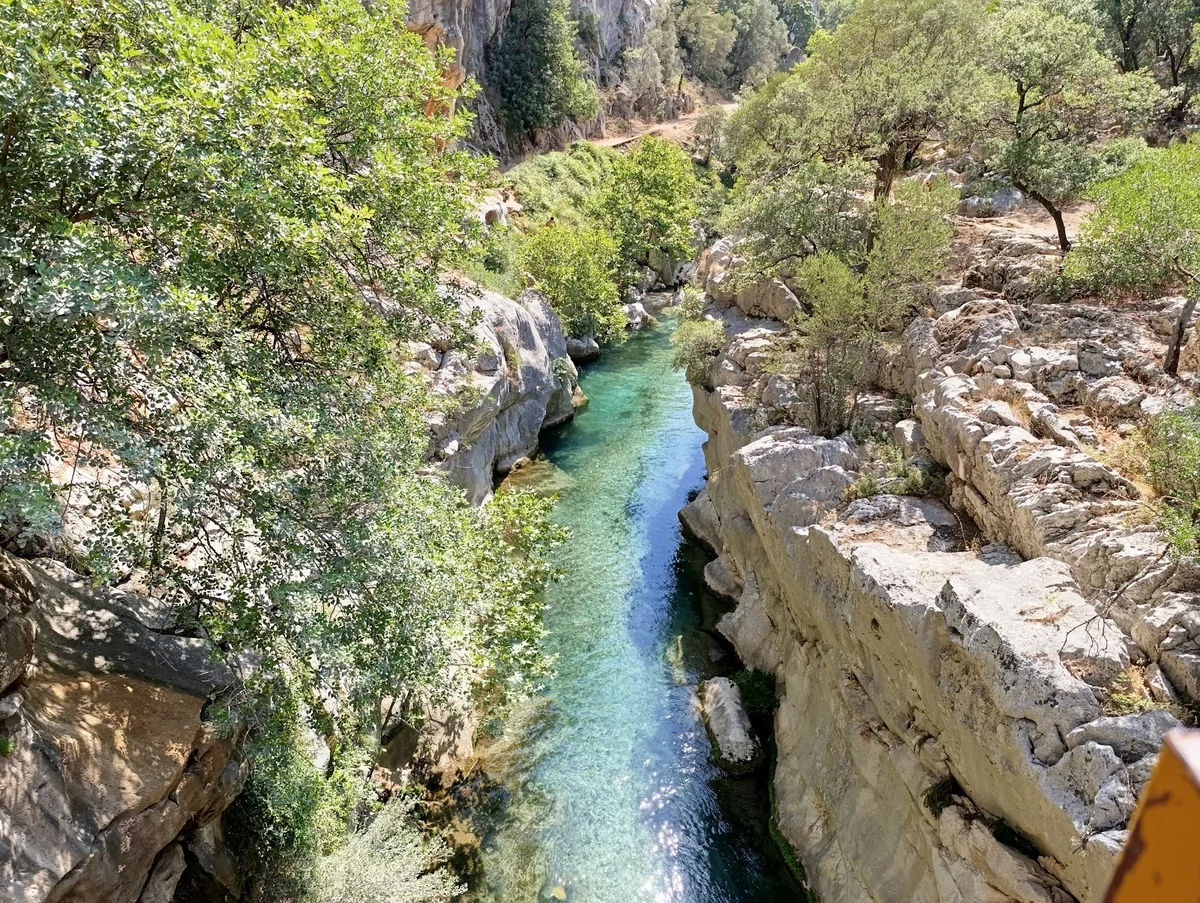 Doğanın Kalbinde - Berrak Su ve Yemyeşil Ağaçlar Berrak su akışı ve yemyeşil ağaçlarla çevrili kanyon manzarası.