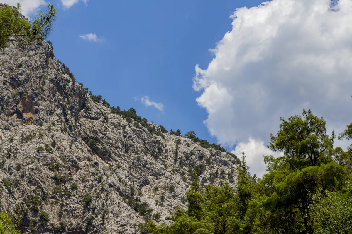 Yazılı Kanyon'un Doğal Güzellikleri - Yüksek Dağ Yamaçları ve Çam Ağaçları! Yüksek dağ yamaçları, yeşil çam ağaçları ve mavi gökyüzüyle yazılı kanyon manzarası.