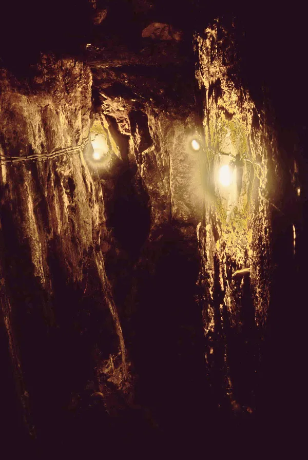 Karanlık tünel, sarımsı yosunlarla kaplı taş duvarlar ve sıcak beyaz lambalarla aydınlatılmış.