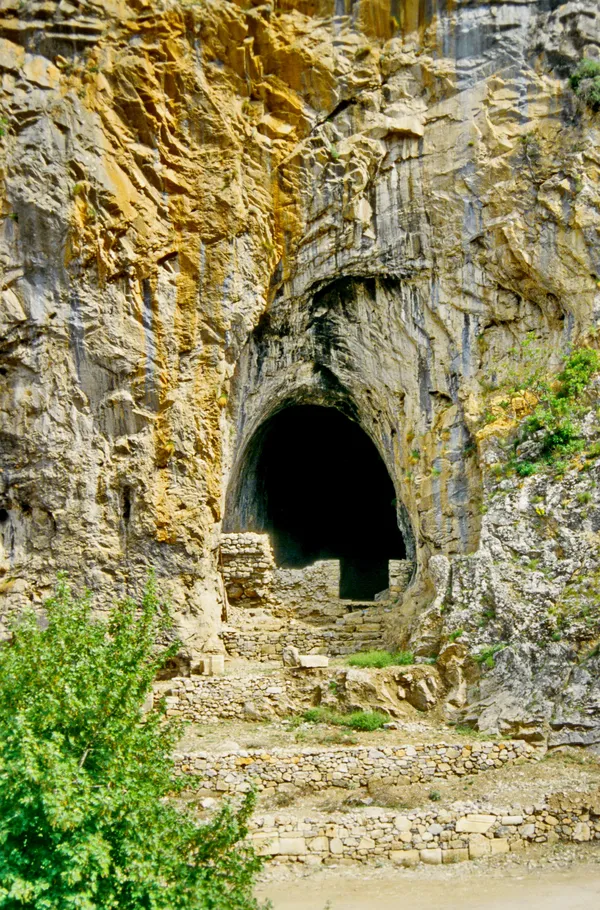 Geniş mağara girişi, taş döşeli alan ve çevresindeki bitki örtüsüyle doğal bir ortam sunuyor.