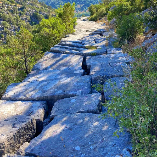 Dağlık alanda geniş taşlardan oluşan yol, çevresinde yeşil bitki örtüsü ile huzur verici bir manzara sunuyor.