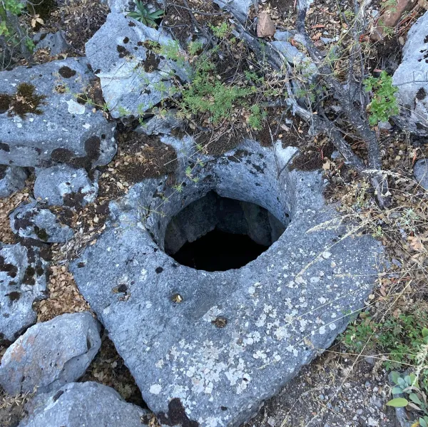Taşlarla çevrili yuvarlak delik ve çevresindeki doğal bitki örtüsü