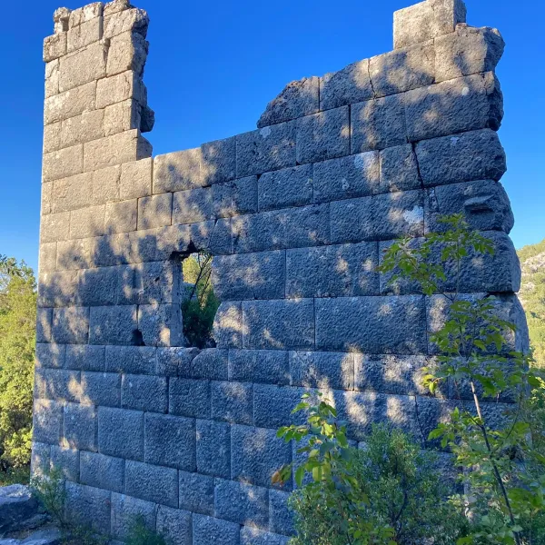 Güneşli günde eski taş duvar, yeşil bitkiler ve mavi gökyüzü ile çevrili