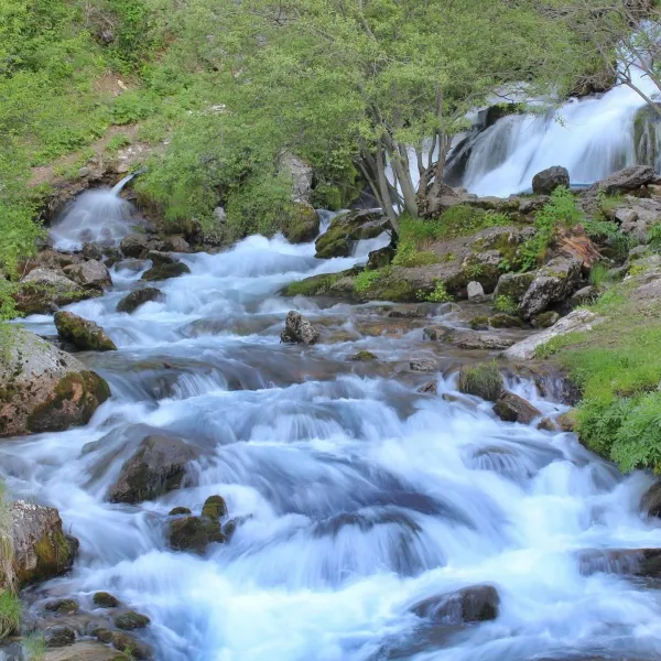 Berrak su akıntıları arasında kayaların ve yeşil bitkilerin olduğu doğal bir dere manzarası.