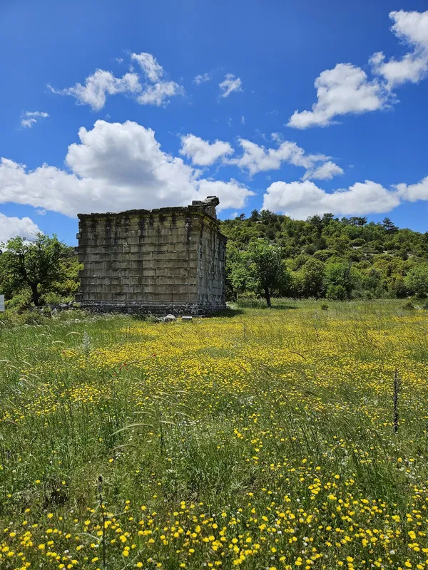 Yeşil alanda tarihi yapının kalıntıları ve mavi gökyüzü.
