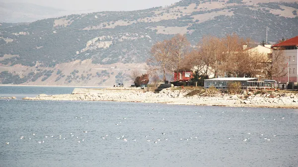 Hafif dalgacıklı suyun kenarında kuşlar, taş setin arkasında ağaçlarla kaplı dağlar.