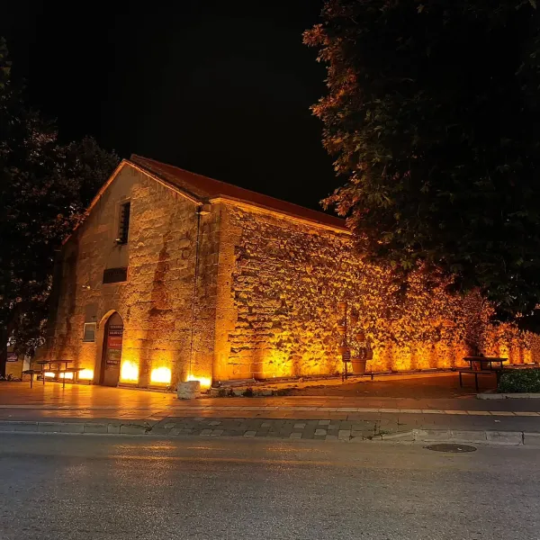 Gece aydınlatmasıyla göz alıcı Firdevs Bey Camii ve çevresindeki ağaçlar