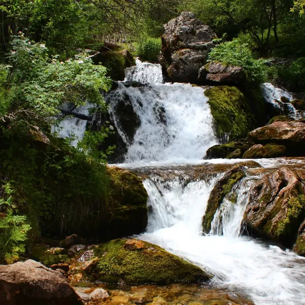 Kayaların arasından akan su ve çevresindeki yeşil bitki örtüsü
