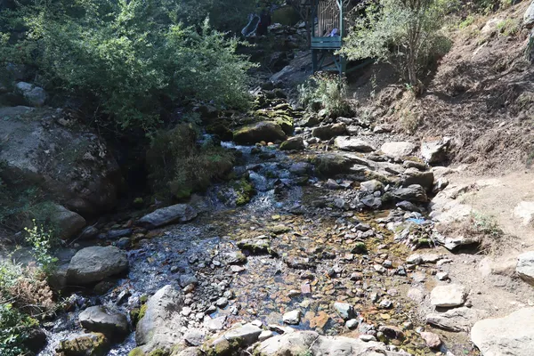 Doğal su kaynağı, taşlar ve yeşil bitkilerle çevrili huzurlu bir dere.