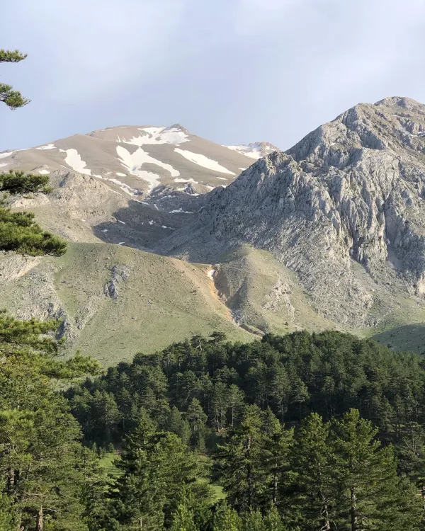 Büyüleyici dağ manzarası, karla kaplı zirveler ve yeşil ormanlar ile dolu