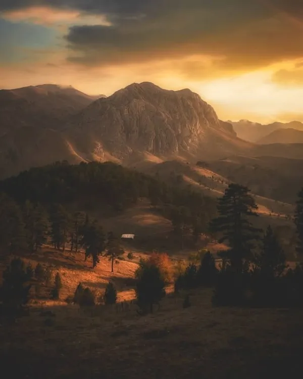 Sisli dağ manzarasında çam ağaçları ve beyaz yapı, batmakta olan güneşin sıcak tonlarıyla aydınlanıyor.