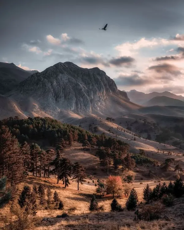 Derin vadilerle çevrili Dedegöl Dağı manzarası, çam ağaçları ve renkli yapraklarla dolu.