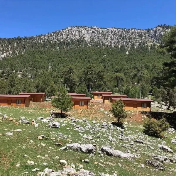 Yemyeşil ağaçlarla çevrili ahşap köşkler ve mavi gökyüzü.