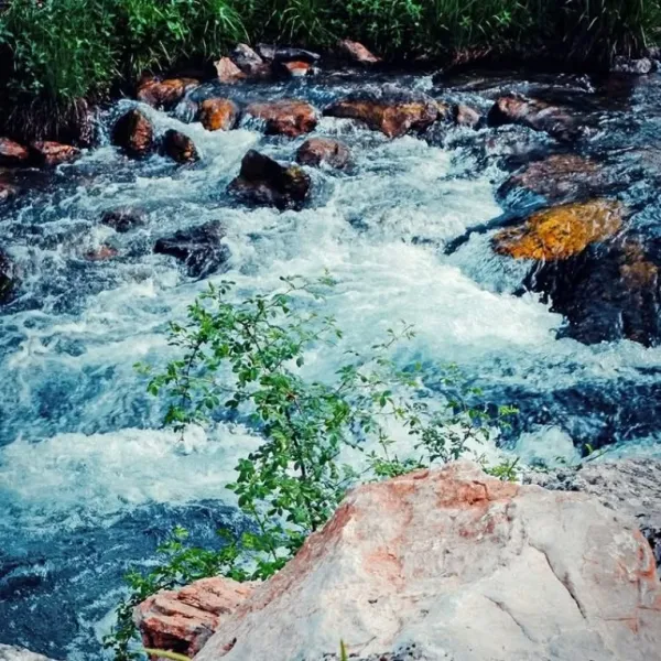Berrak suyu ve etrafındaki kayalarla Başpınar Tabiat Parkı manzarası