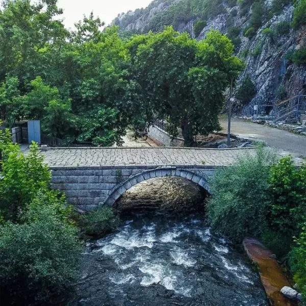 Yeşil ağaçlarla çevrili taş köprü, akan su üzerinde doğal bir manzara sunuyor.