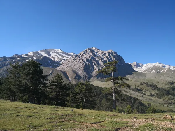 Berrak mavi gökyüzü altında, karla kaplı zirveler ve yeşil alanlar.