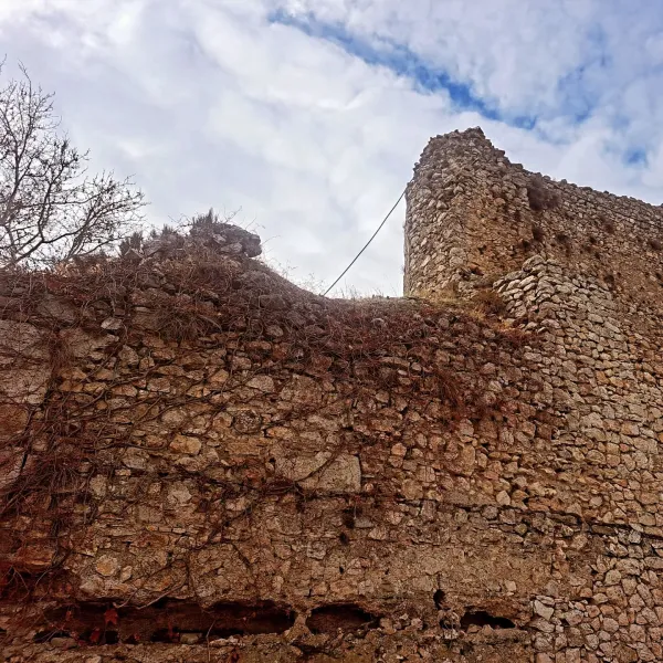Aşınmış taş duvarları ve bitki örtüsüyle kaplı kule görünümü