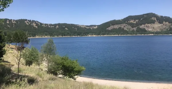 Sakin mavi göl, yeşil ağaçlarla çevrili, güneşli bir gün