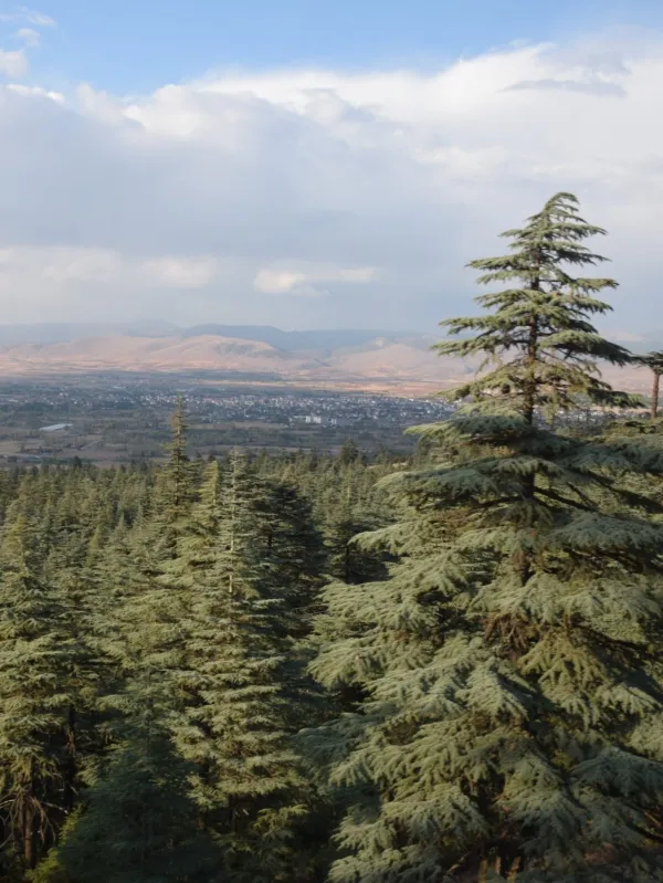 Isparta Kızıldağ Milli Parkı: Isparta'nın Endemik Bitki Cenneti ve Doğa Turizmi Rehberi