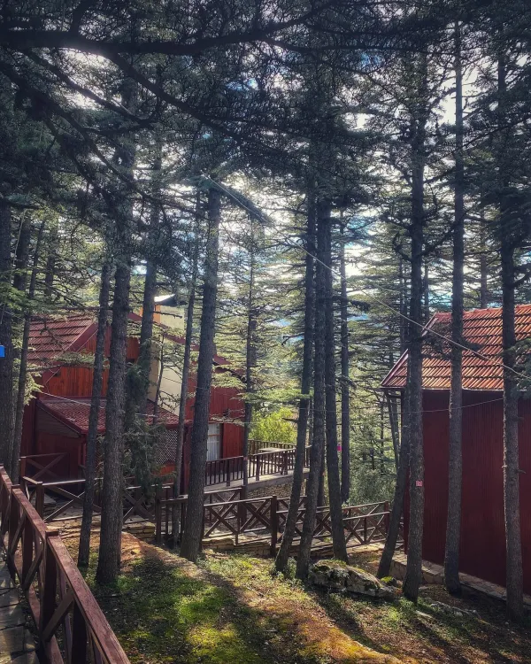 Isparta Kızıldağ Milli Parkı: Isparta'nın Endemik Bitki Cenneti ve Doğa Turizmi Rehberi