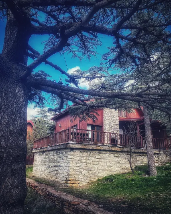 Ağaç ev, taş ve tahta malzemelerle inşa edilmiş, etrafı yeşil alanla çevrili.