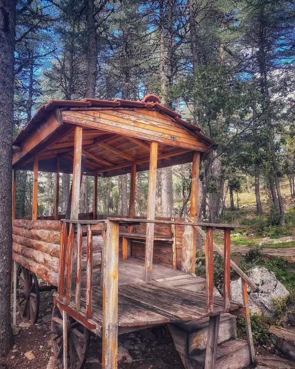 Ağaçlarla çevrili alanda ahşap platform, yeşil bitkiler ve açık hava ile dinlenme alanı.