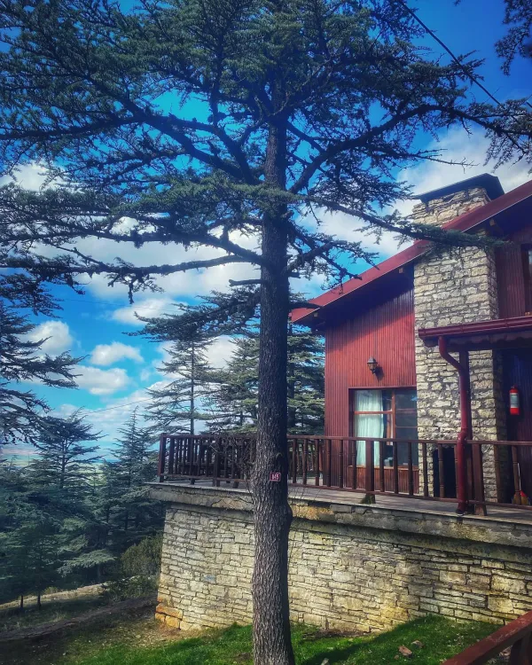 Doğal bir ortamda yer alan taş kaplı dağ evi, yeşil ağaçlar ve mavi gökyüzü ile huzur veriyor.