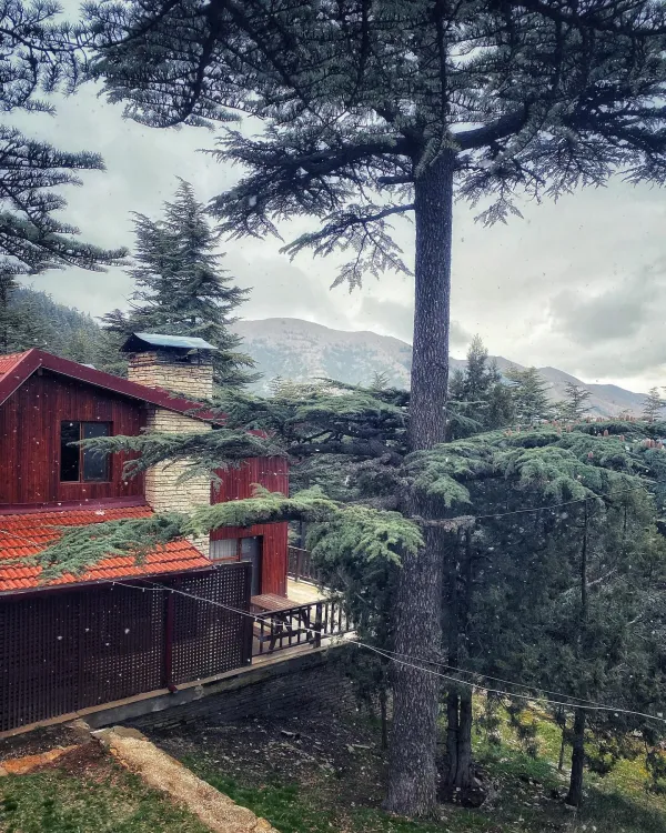 Kızıldağ Milli Parkı'nda ahşap dağ evi ve çevresindeki doğal manzara