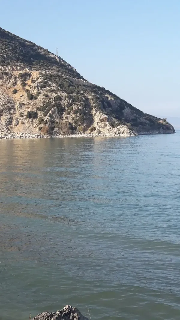 Hafif dalgalarla parıldayan sakin deniz ve taşlı kıyı