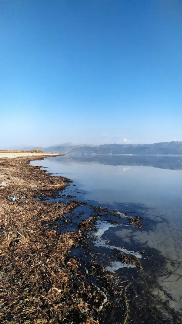 Göl kenarında kuru otlar ve su bitkileriyle çevrili sakin bir göl manzarası