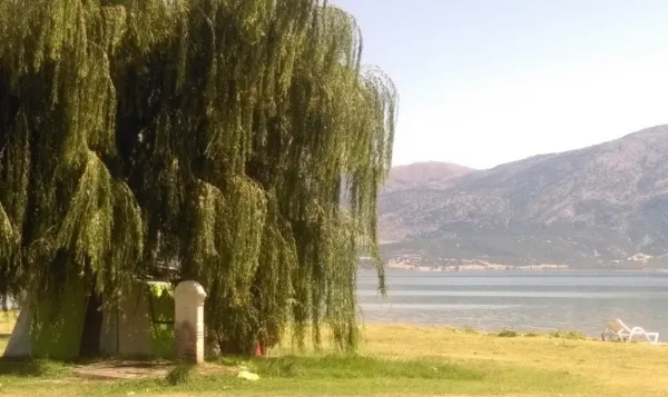 Büyük bir söğüt ağacı, göl kenarında şezlonglar ve dağ manzarası ile doğal bir dinlenme alanı.