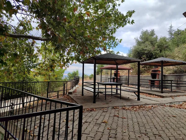 Doğal alan, çatılı masalar ve ağaçlarla çevrili piknik alanı.